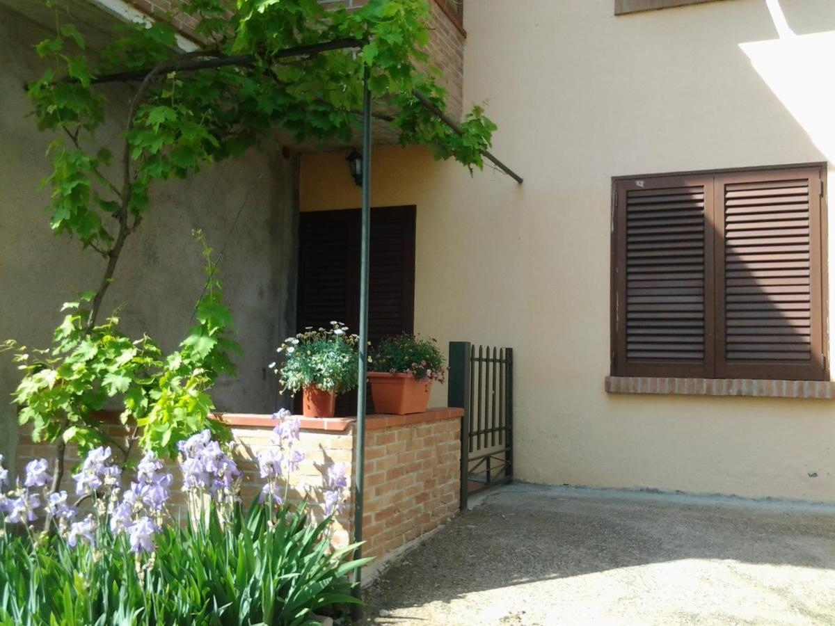 Appartamento In Collina "La Perla" Riparbella Ngoại thất bức ảnh